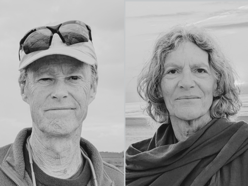 Coordinative Structure: Evoking Adaptive Stability for Structural Integration photo